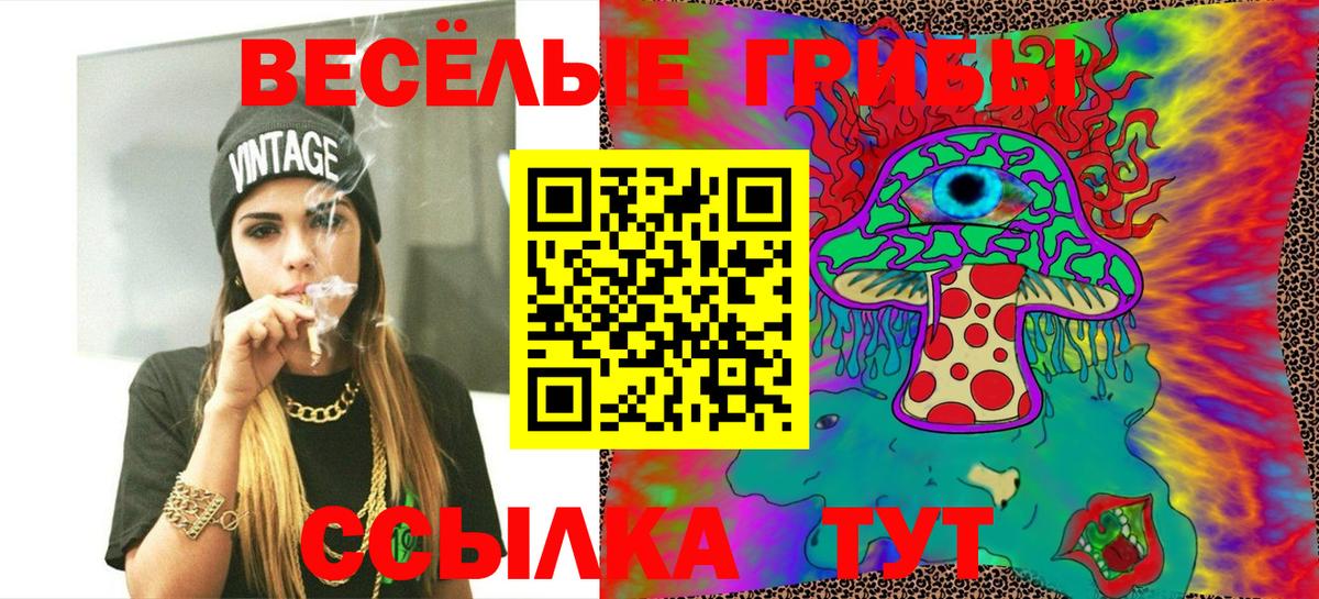 Россия  Псилоцибиновые грибы MAGIC MUSHROOMS  Вход с VPN 